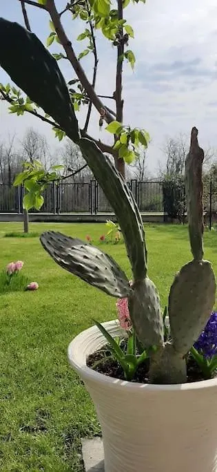 Appartamento Accogliente Bilocale Con Giardino Vicino A Milano Peschiera Borromeo 0*,  Italia